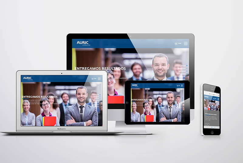 Bioxnet Branding and Web Design Studio | Requerimientos para un Sitio Web