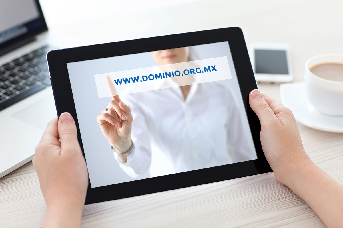 Bioxnet Branding and Web Design Studio | Como obtener un dominio para tu sitio web