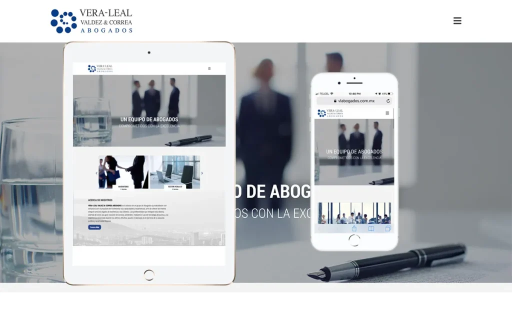 disenoweb profesional mexico 7