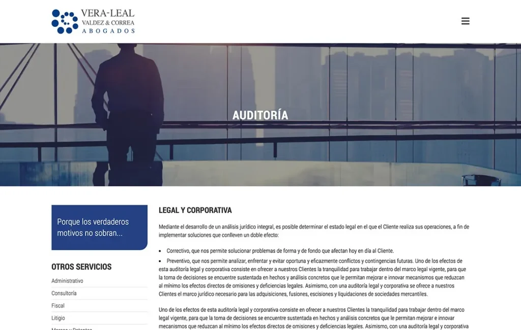sitio web profesional 3