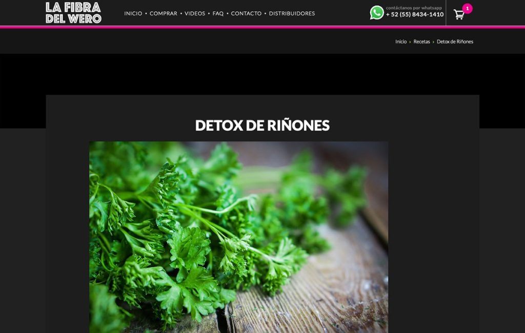 diseno web movil monterrey 6 1