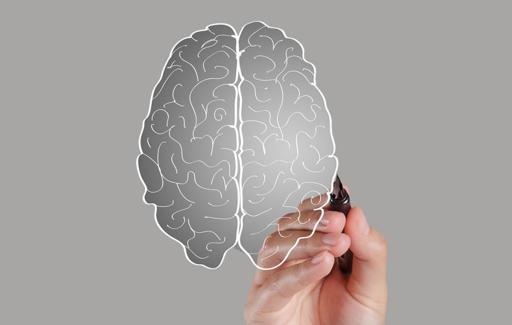 Bioxnet Branding and Web Design Studio | ¿Qué es el Neuromarketing? Bioxnet Branding and Web Design Studio | ¿Qué es el Neuromarketing?