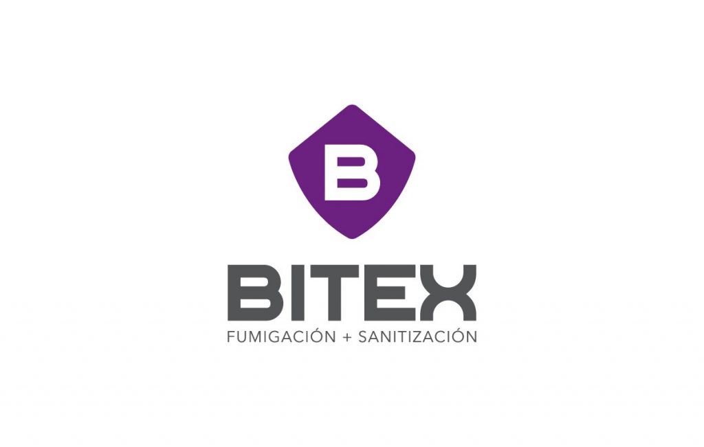 branding monterrey 3