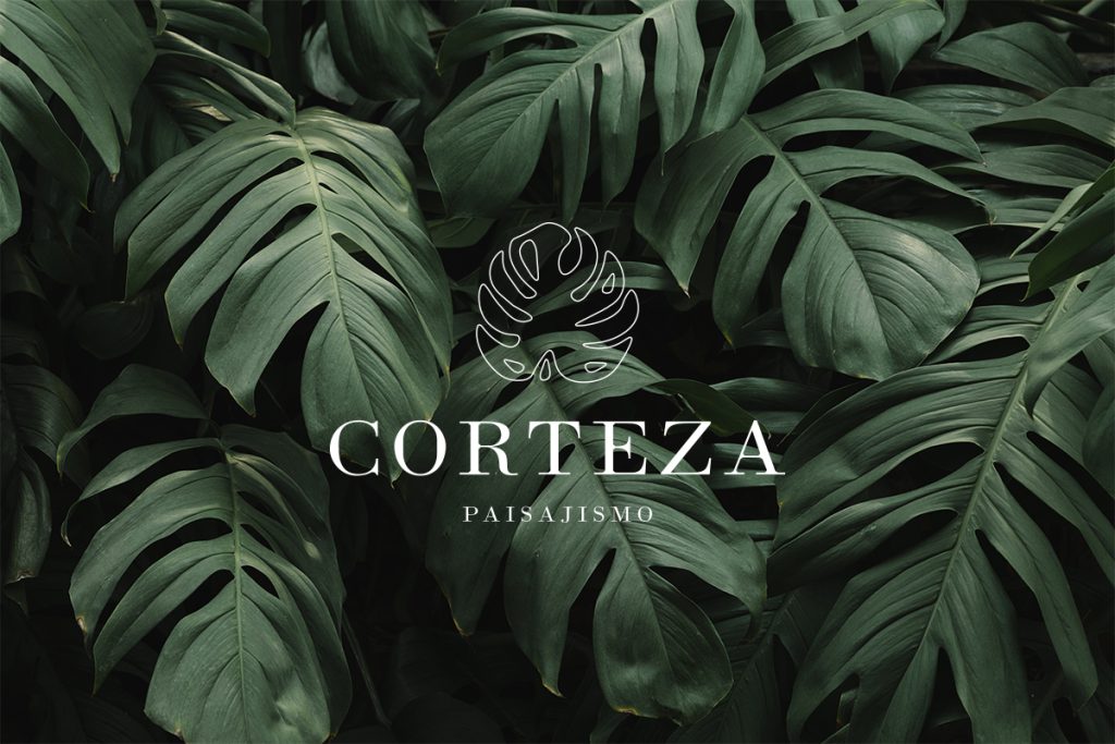corteza