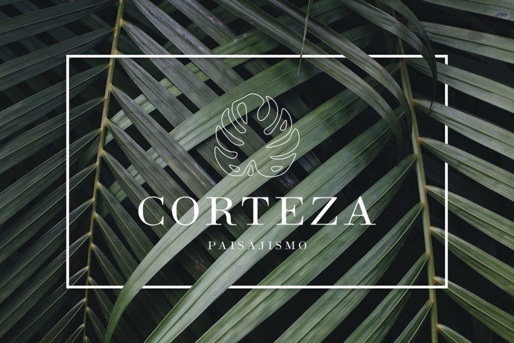 corteza2