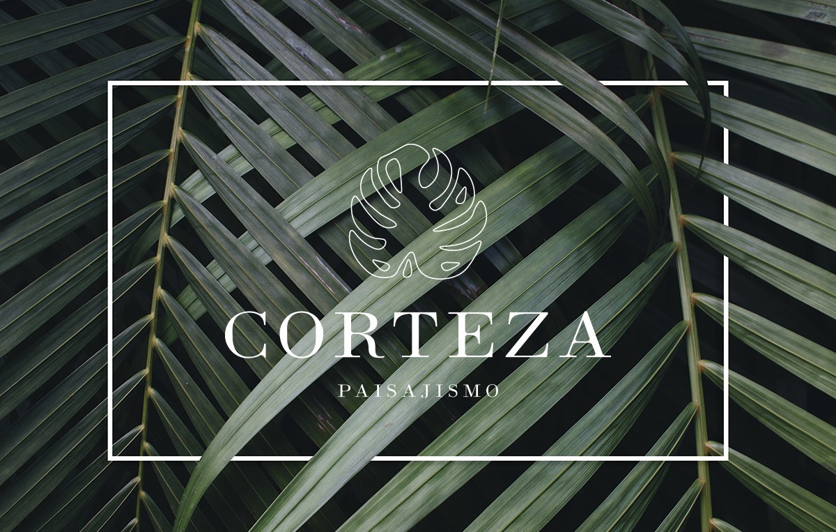 Bioxnet Branding and Web Design Studio | Graphic Design Agency Monterrey