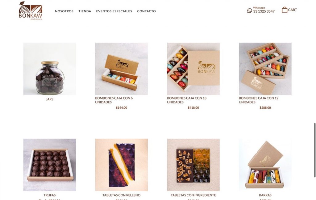 diseno de paginas web monterrey 5