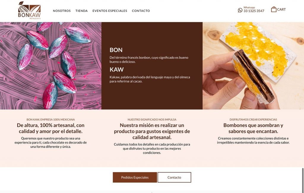 diseno de paginas web monterrey 6
