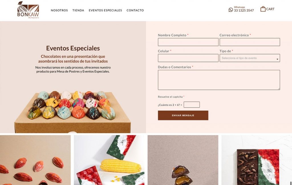diseno de paginas web monterrey 7