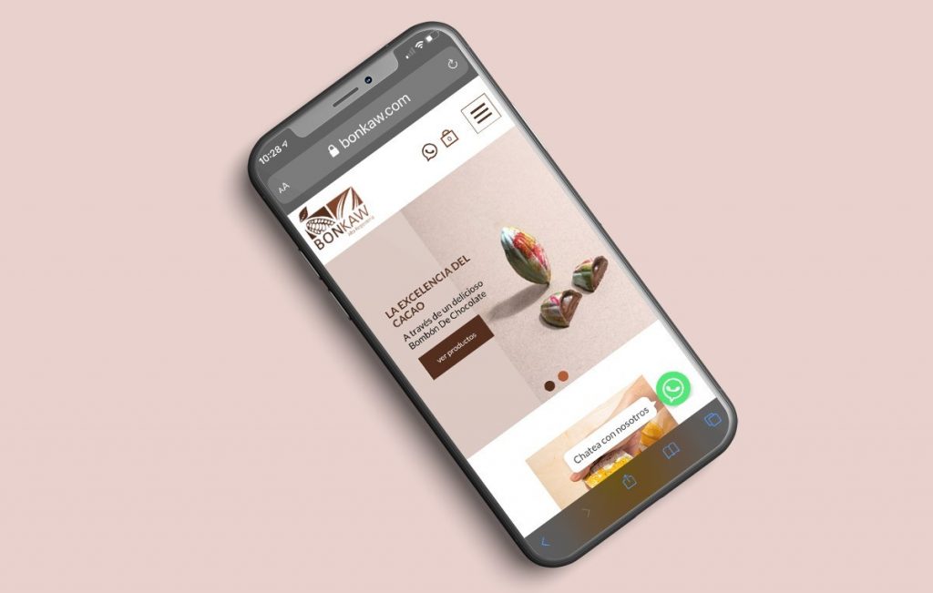 diseno de paginas web monterrey 8