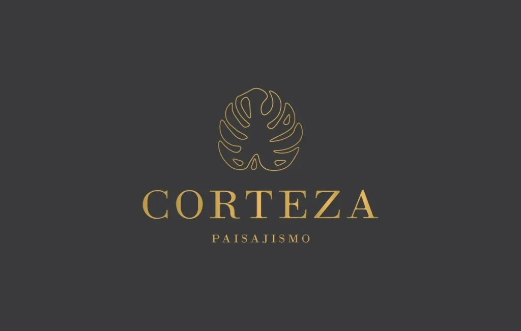 empresas de branding monterrey 9