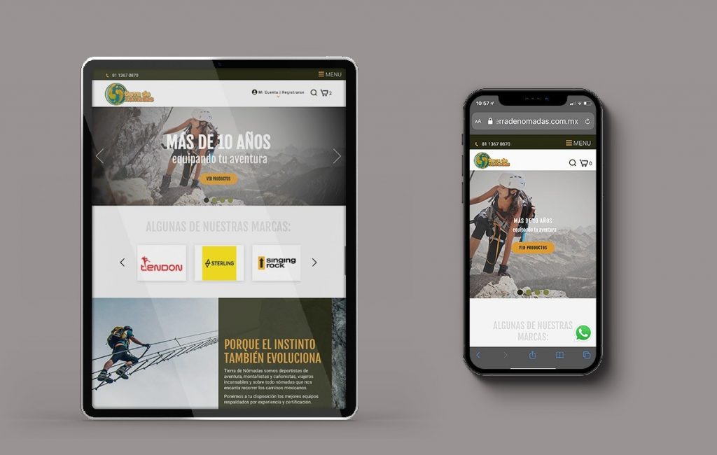 diseno de sitio web profesional 1