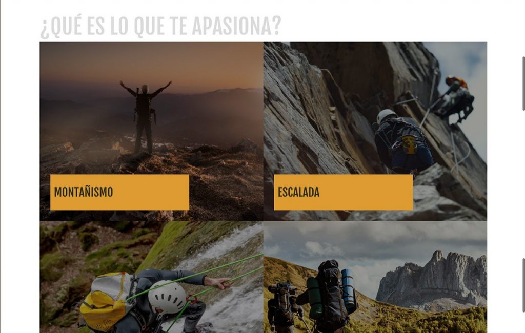 paginas de internet monterrey 3