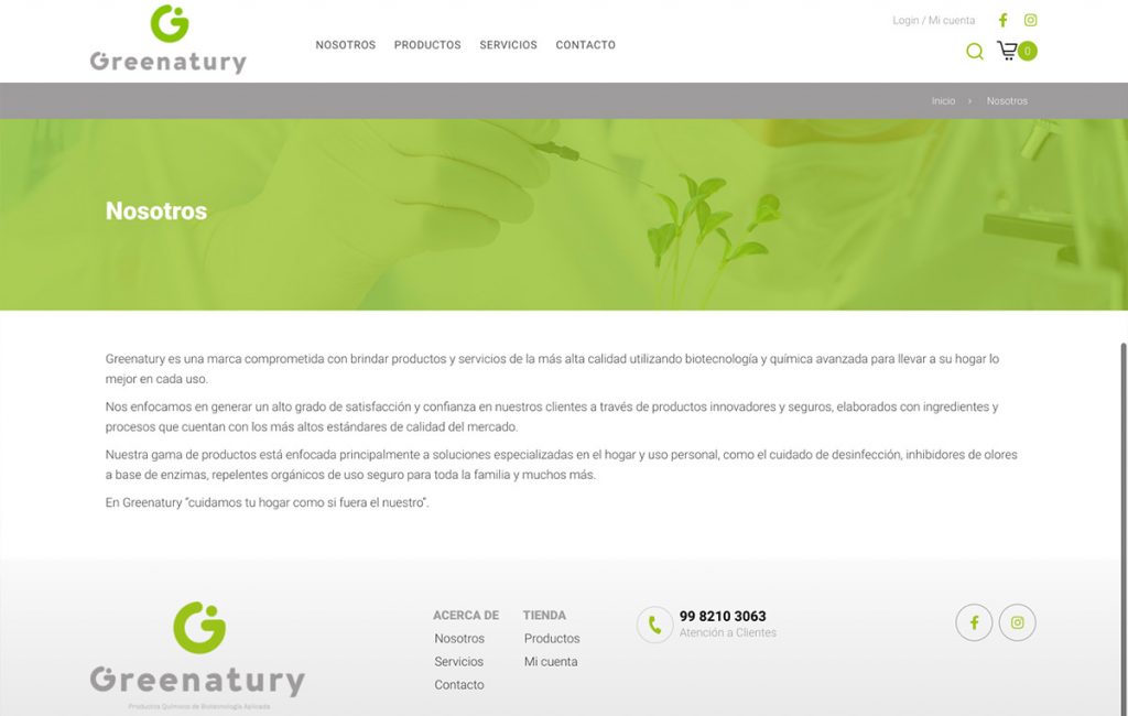 diseno de pagina web sanpedro 3