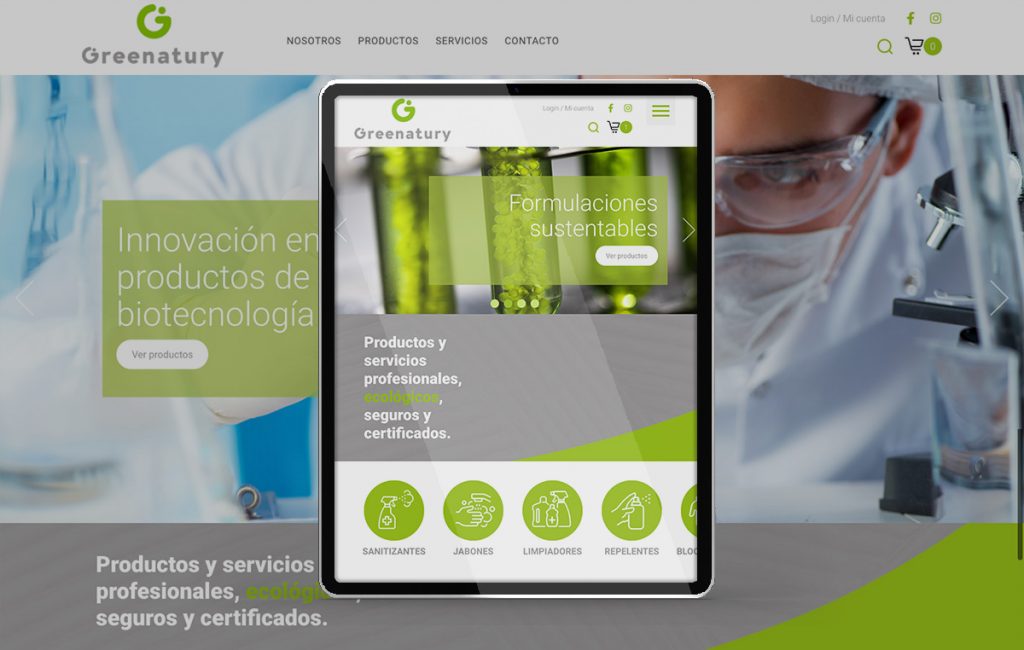 diseno de paginas Web profesional monterrey 6