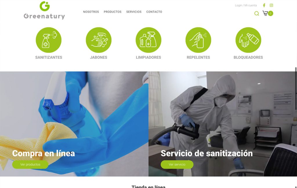 pagina web monterrey 2