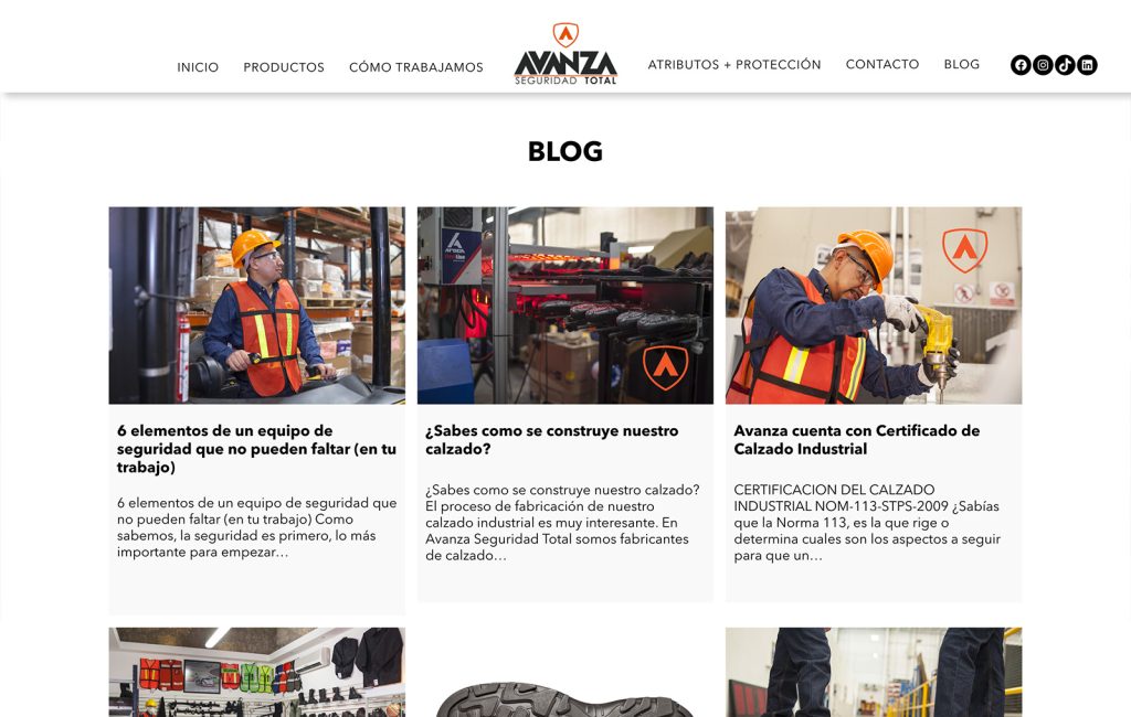 agencia Web monterrey 03
