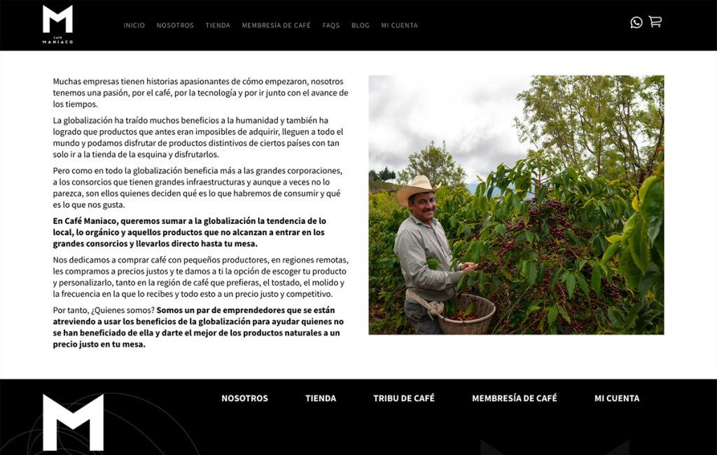 disenador Web sapedro 6