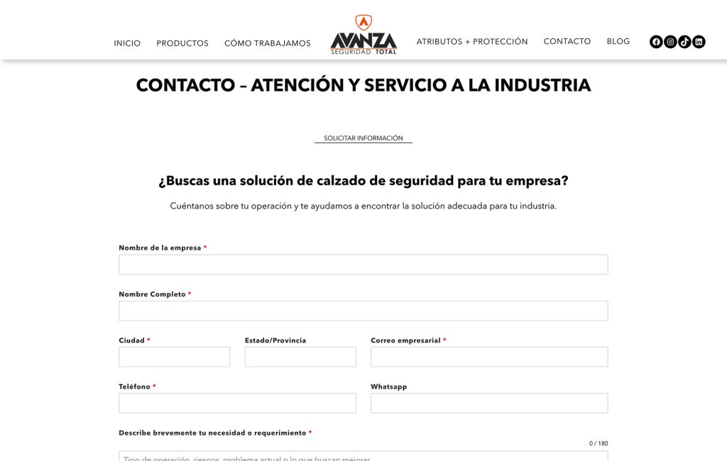 disenador web monterrey 04