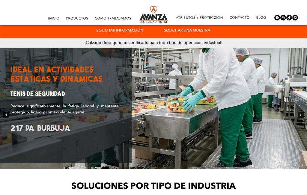 diseno De paginas Web monterrey 02