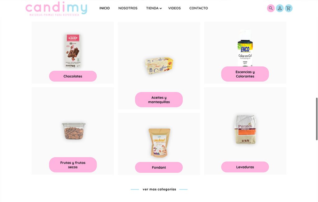 diseno De tienda online monterrey 2