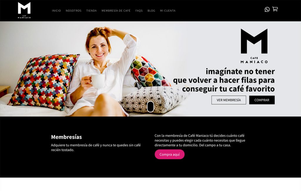 diseno de sitiio web ecommerce 1