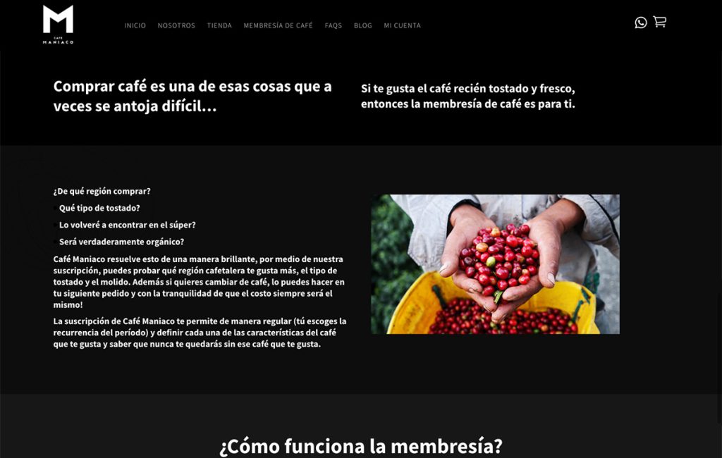 diseno sitio web tiendavirtual 4