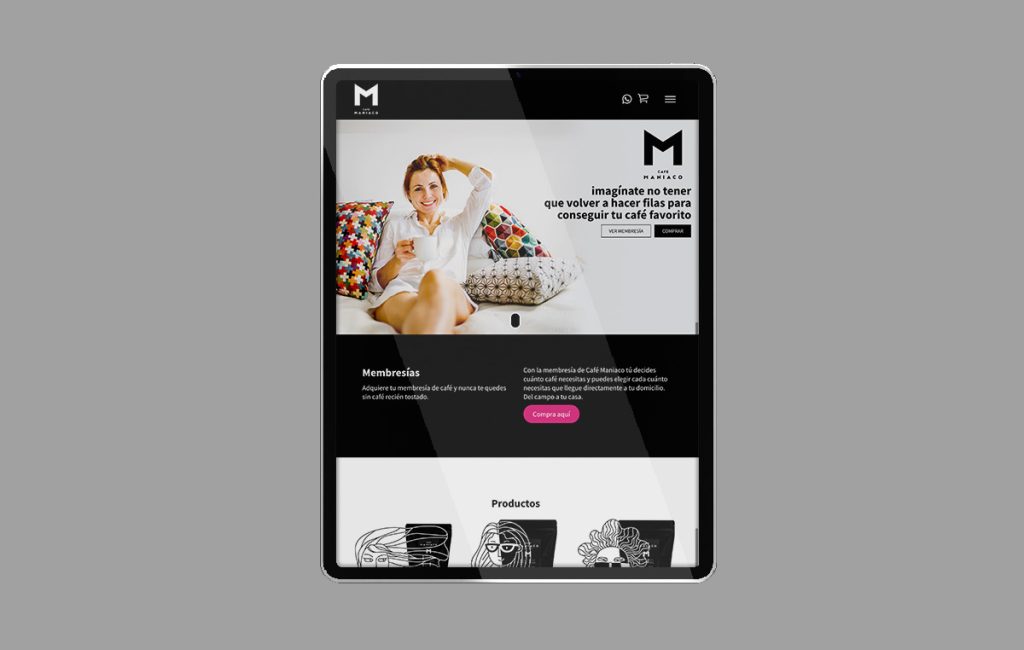 paginas web monterrey 7