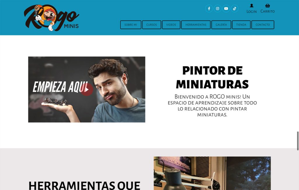 diseno de sitio web en monterrey 1