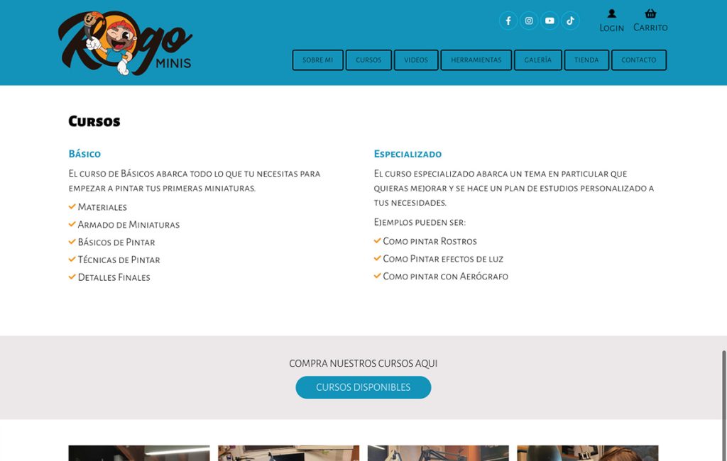 diseno de sitio web monterrey 2