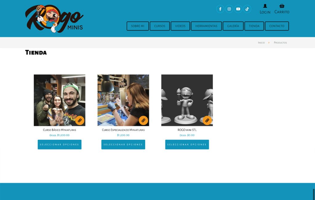 diseno sitio web monterrey 3