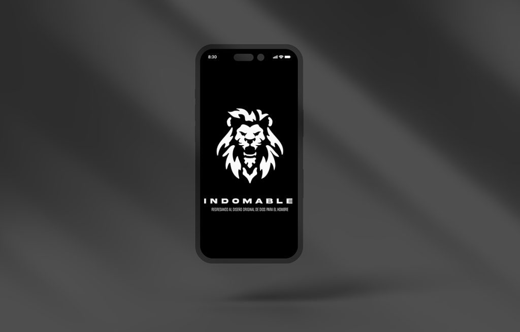 diseno de marca logotipo 1