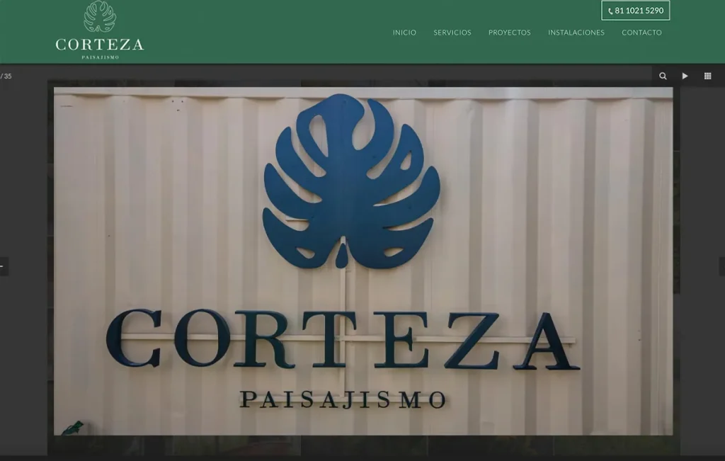 disenador De paginas Web 7a