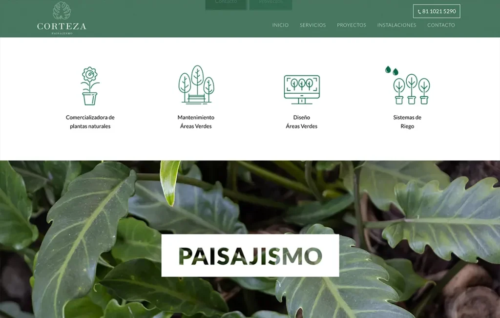 diseno de paginasweb monterrey 2