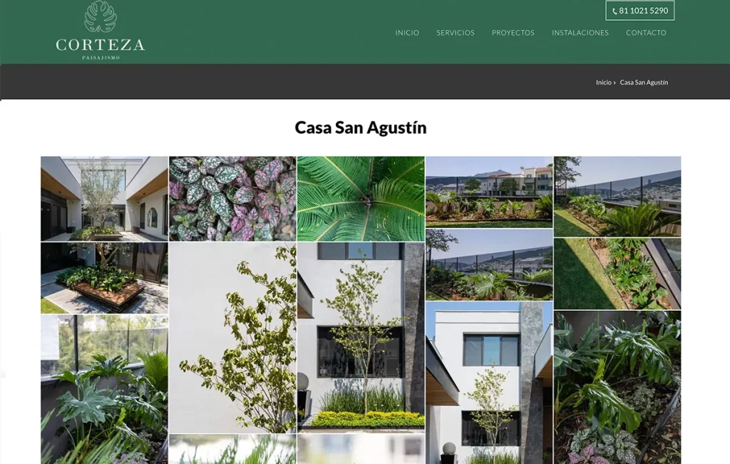 diseno web en monterrey nl 4