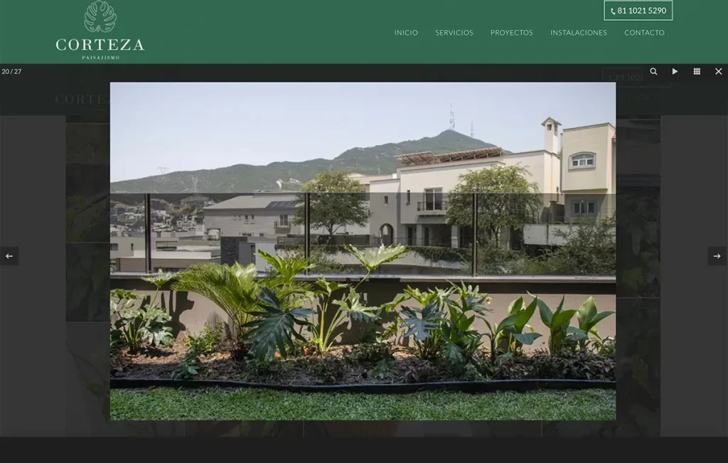 paginas Web en sanpedro 5