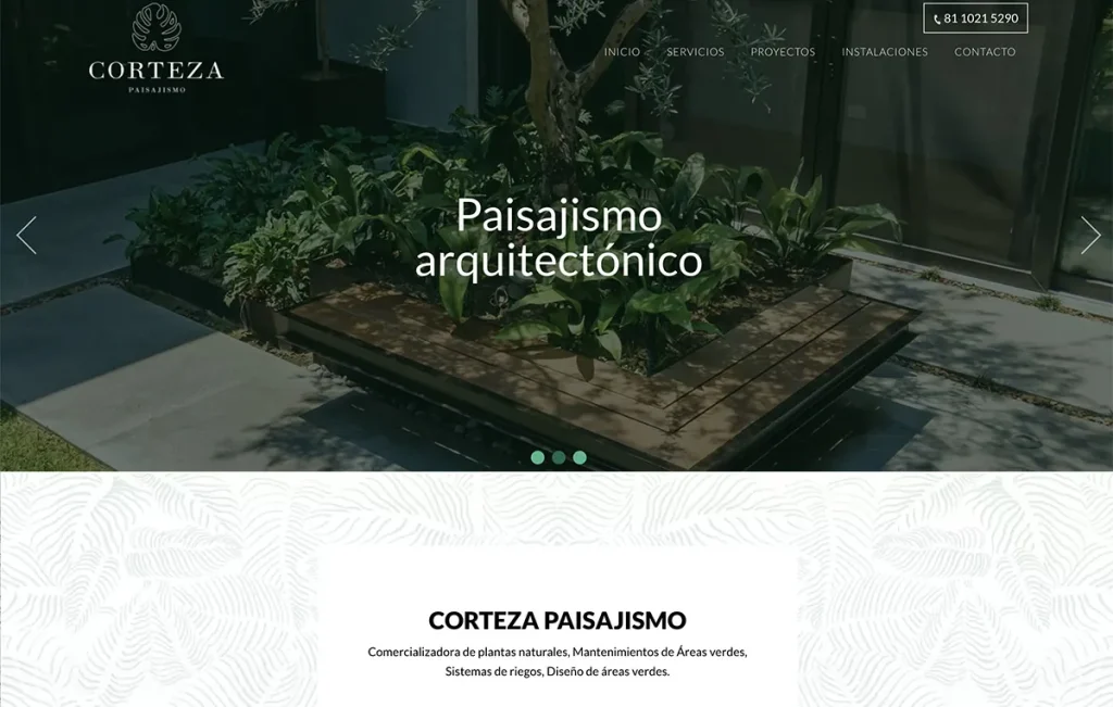 paginas web monterrey 1