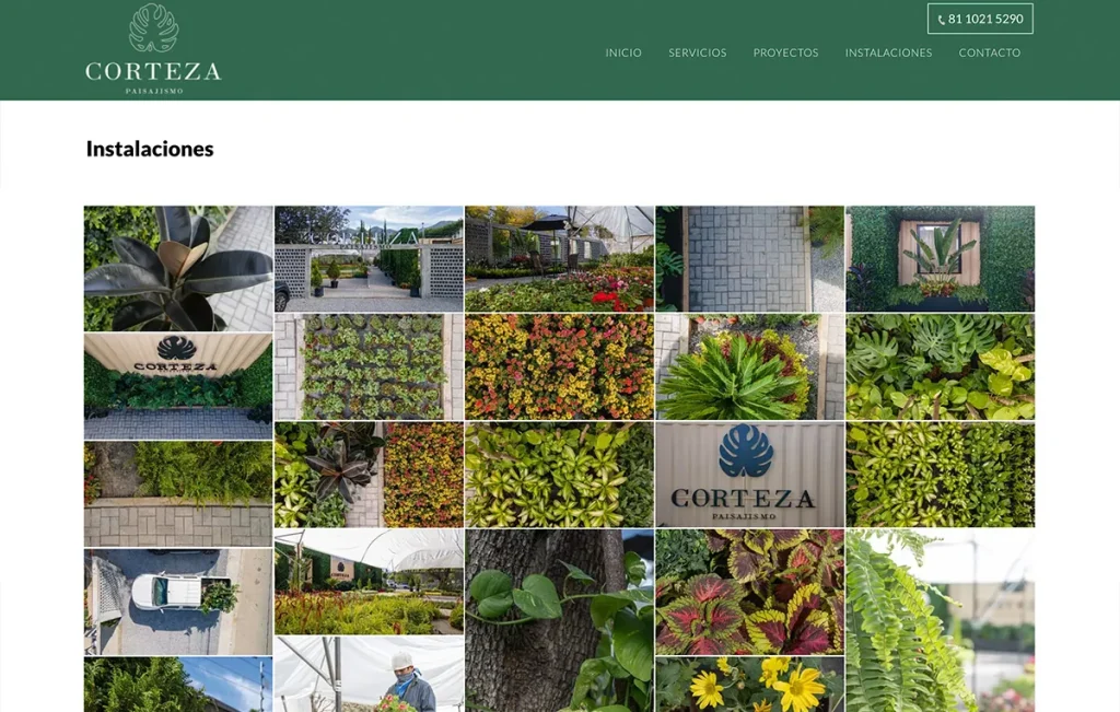 paginas web san pedro 6