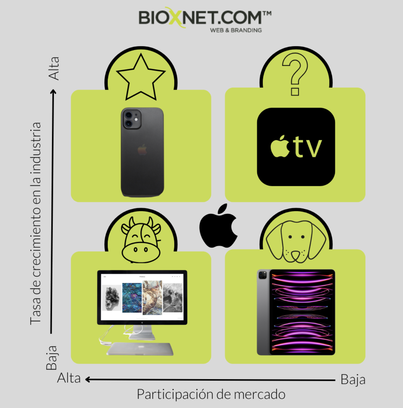Bioxnet Branding and Web Design Studio | ¿Qué es la matriz BCG y cómo aplicarlo en tu negocio?