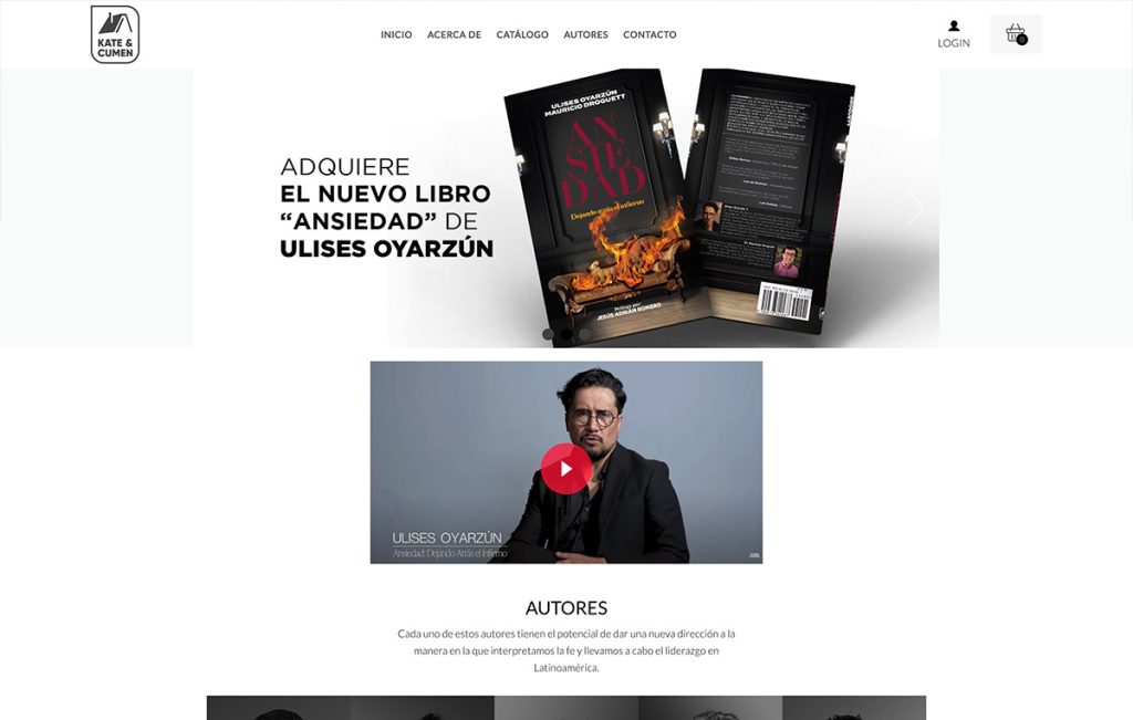 agencia de diseno web monterrey 1