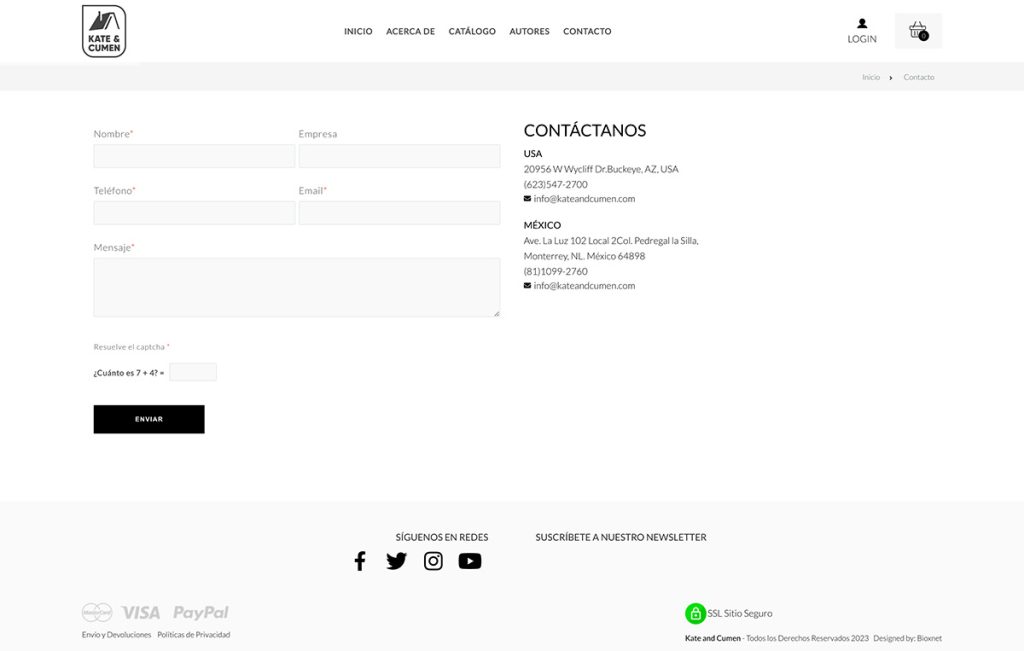 diseno web monterrey 5