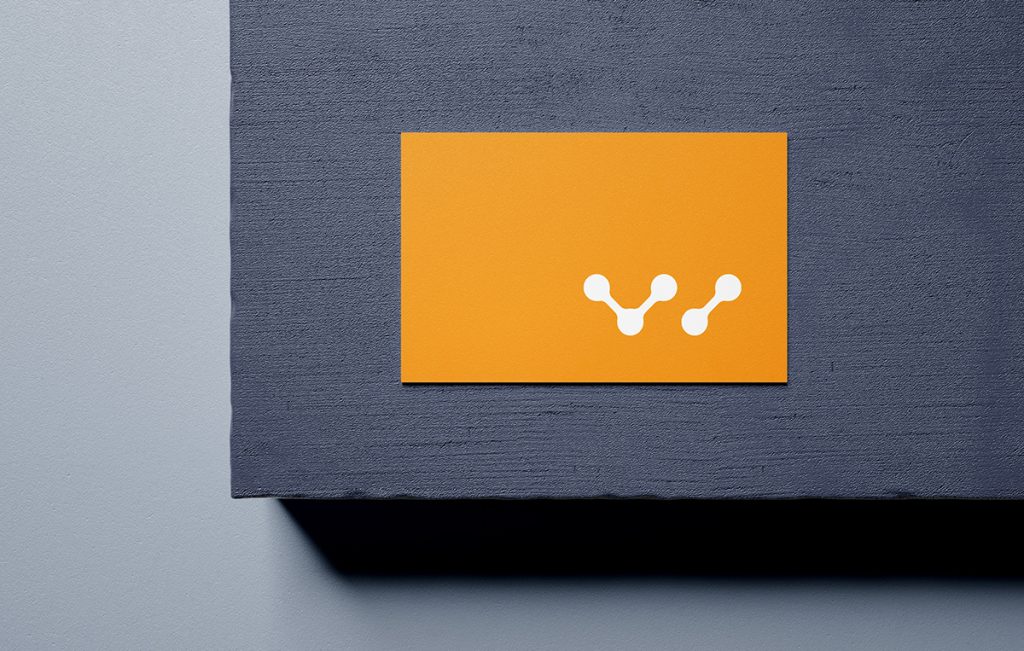 branding sanpedro 6