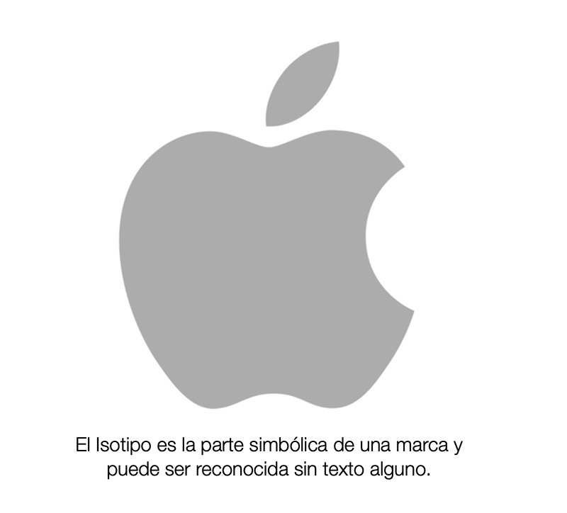 Bioxnet Branding and Web Design Studio | Cómo es un logotipo profesional