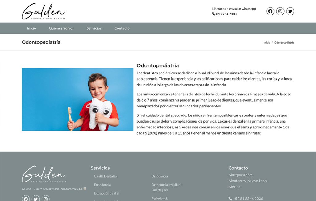 disenador Web monterrey 5