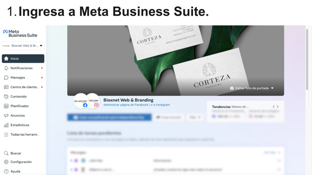 Bioxnet Branding and Web Design Studio | Optimiza tus respuestas automáticas en tus redes. Bioxnet Branding and Web Design Studio | Optimiza tus respuestas automáticas en tus redes.