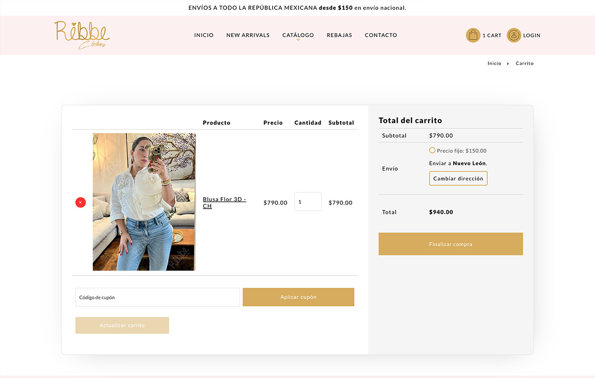 diseno Web ecommerce monterrey 5