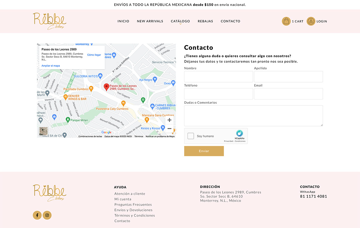 paginasweb monterrey 8