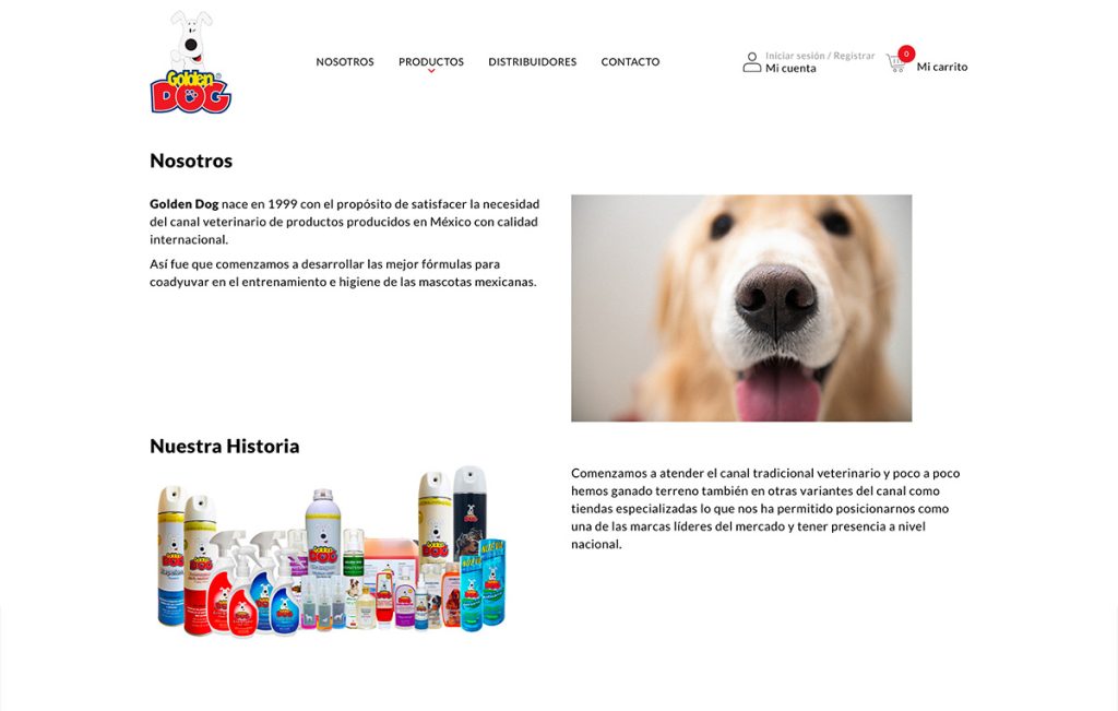 disenador de sitios Web 6