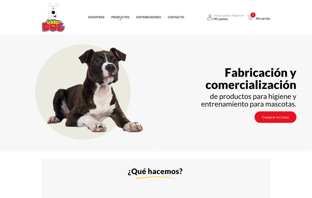 diseno De pagina web monterrey 1