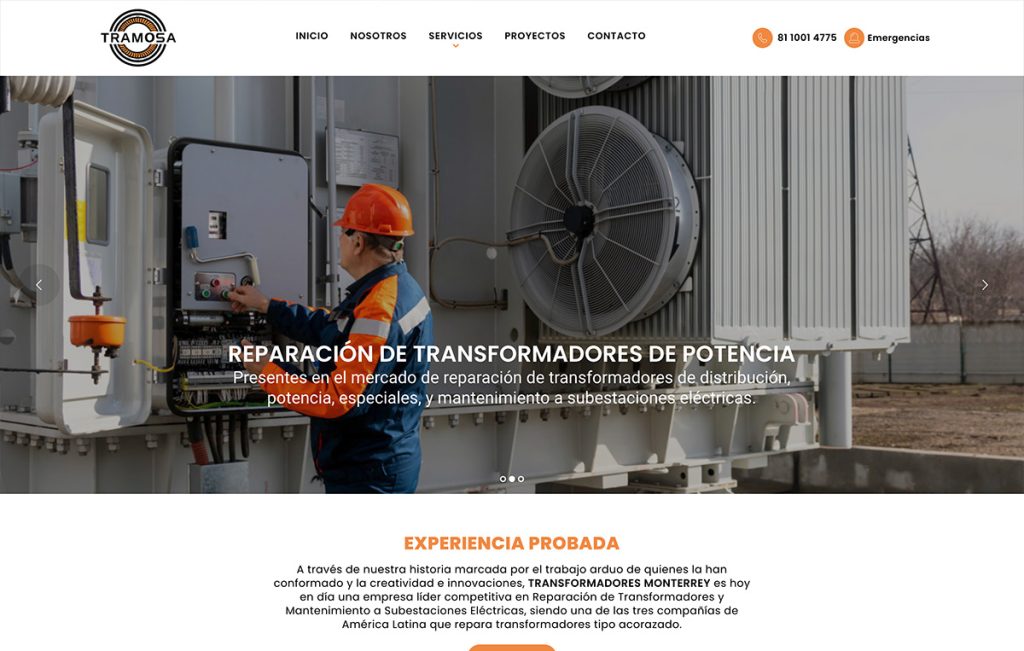 disenode paginas web monterrey 1